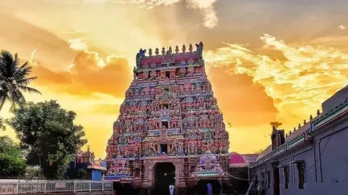 online nadi jodhidam|Nadi Astrology| Nadi Jodhidam| Nadi Josiyam| Real Nadi Astrology| Authentic Nadi Astrology| Palm Leaf Astrology Palm Leaf Reading Nadi Sasthra Nadi Astrology Predictions