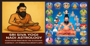 online best nadi astrology