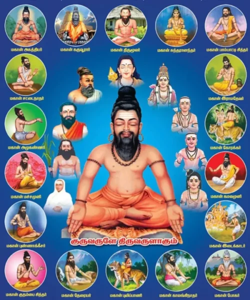 18 Siddhar Nadi Astrology| Siddhar Palm Leaf |Predictions,Ancient Nadi Sasthra.